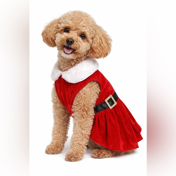Other - Dog Santa Dress NWOT size M